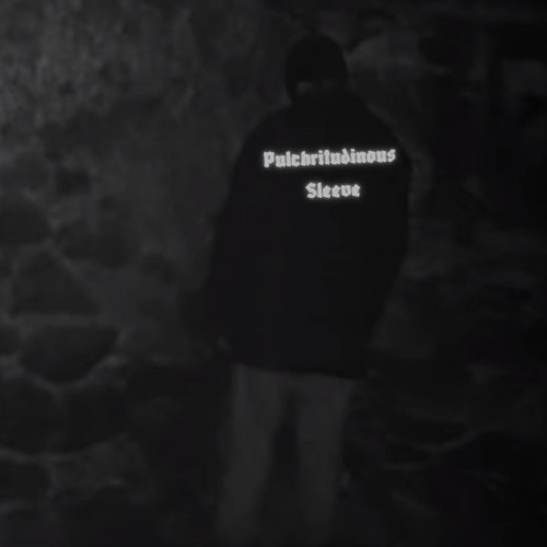 Pulchritudinous Sleeve (Prod.FALLEN)