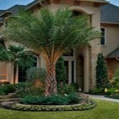 Draco too savage - Show Up (original)