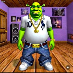 YOUNGFLYNIGGA (GLOCK) #SINNYWORLD #COB007