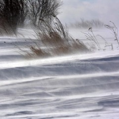 De Neige Et De Vent...