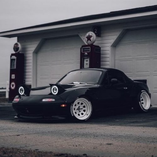 PICTURE PERFECT