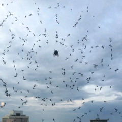 [FREE] Titom X Yuppe Amapiano type beat "River"