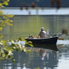 COVID-19 | Jim Furlong: At The End of a Tunnel