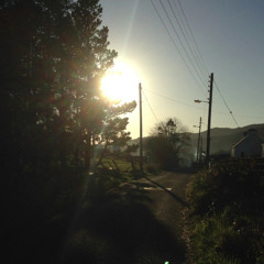 Sunrays