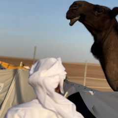 حب البداوه في شراييني جرا✨