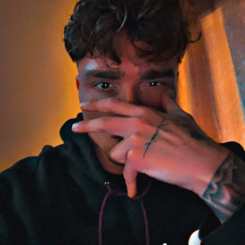 Theo Matteo Ricci V2