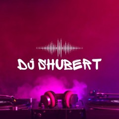 DJ Shubert Hip Hop VS House Vol 1: Tech House Edition