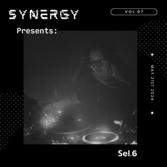 Synergy Presents: SEL.6