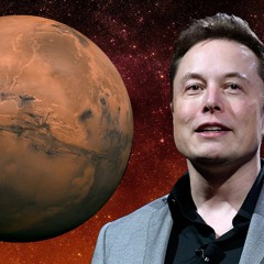 wrong way to mars elon
