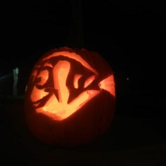 على شطّ بحر الهوى