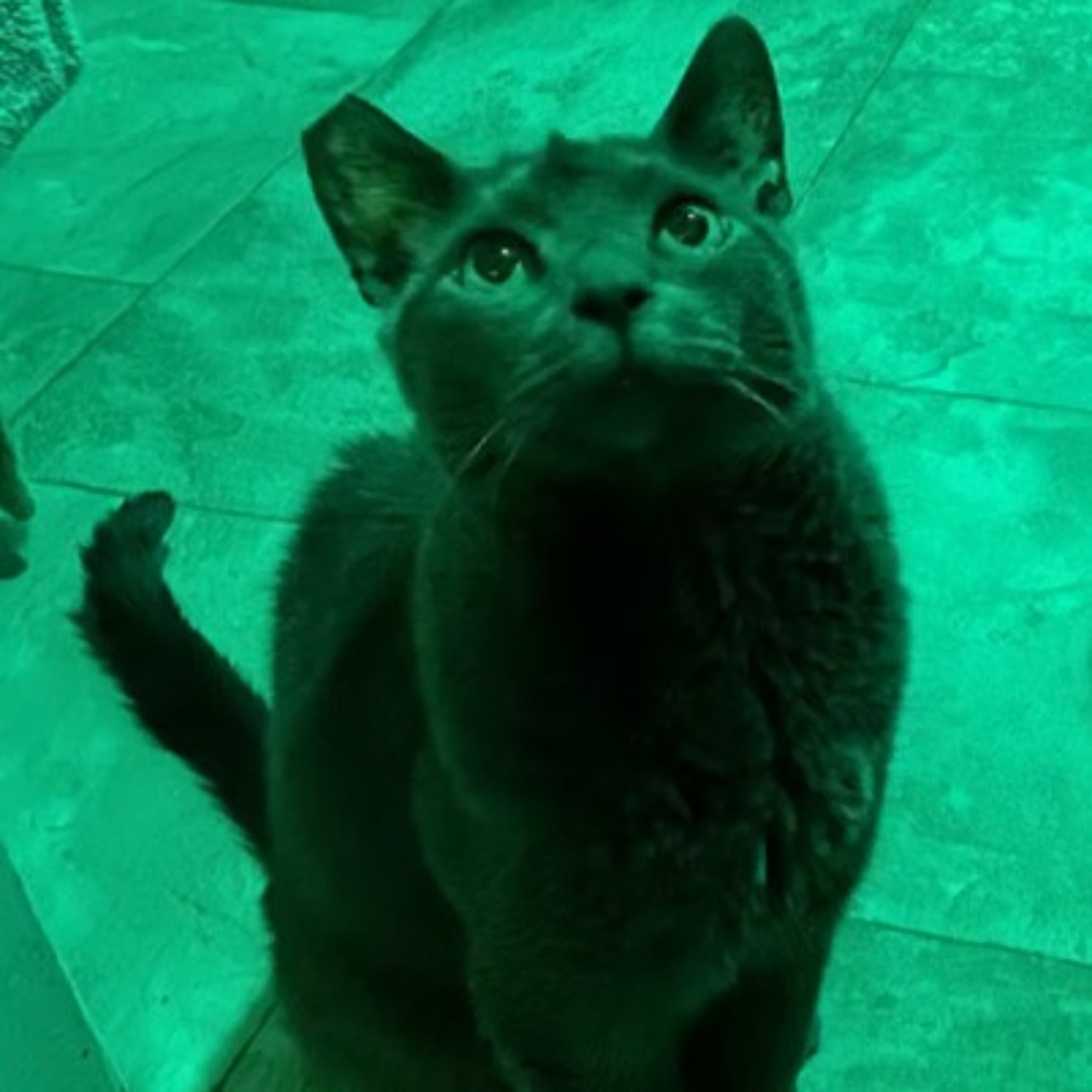 nothing will be the same like ever before