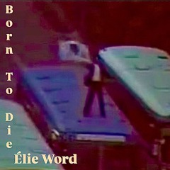 Born To Die(feat.민주주의)