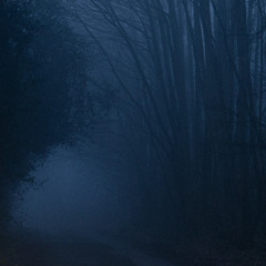 false memories