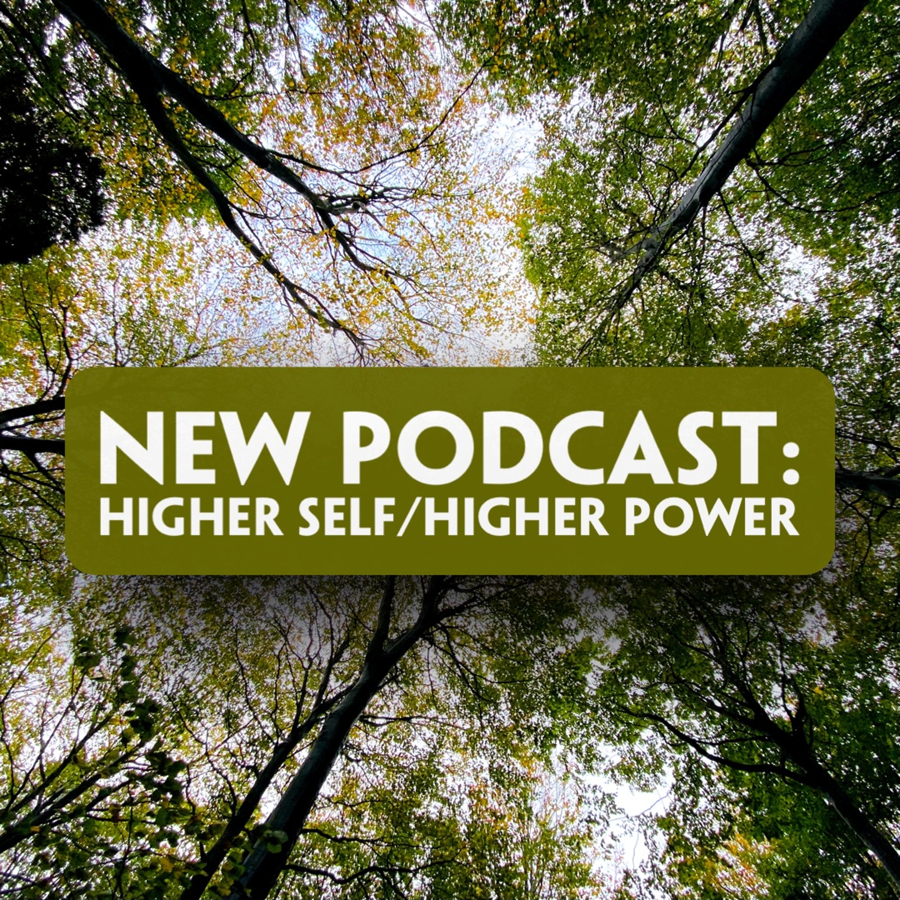 Mindsprings Podcast with Alistair Appleton