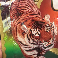 VI 2025 - Justyn Rmx HD LONG BUI