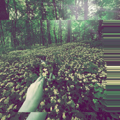 "Out of Focus" (~30 Minutes of Unreleased Music)