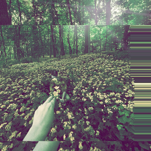 "Out of Focus" (~30 Minutes of Unreleased Music)