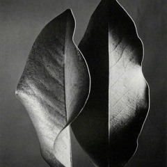 Ehsan Tavakkol/variations for Quartet piano, cello, clarinet & flute