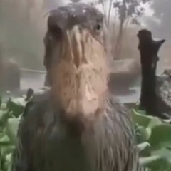 Smokingskul Type Beat "Jenga 4"