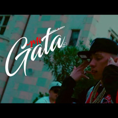 MI GATA (REMIX) - CARBONE