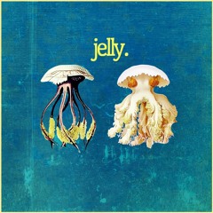 New beattape Jelly _10. Rhizostoma Pulmo
