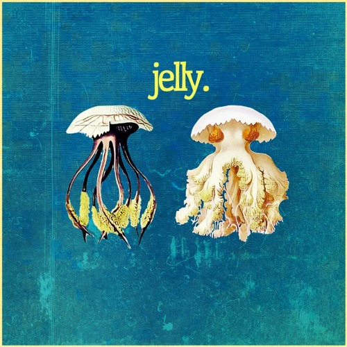 New beattape Jelly _10. Rhizostoma Pulmo