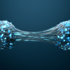 Life Divided Into Particles