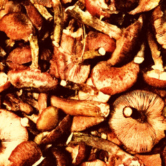 existence is futile [nov9]