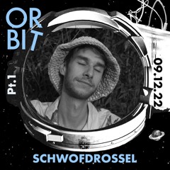 Schwofdrossel im Orbit Waagenbau / 09.12.22