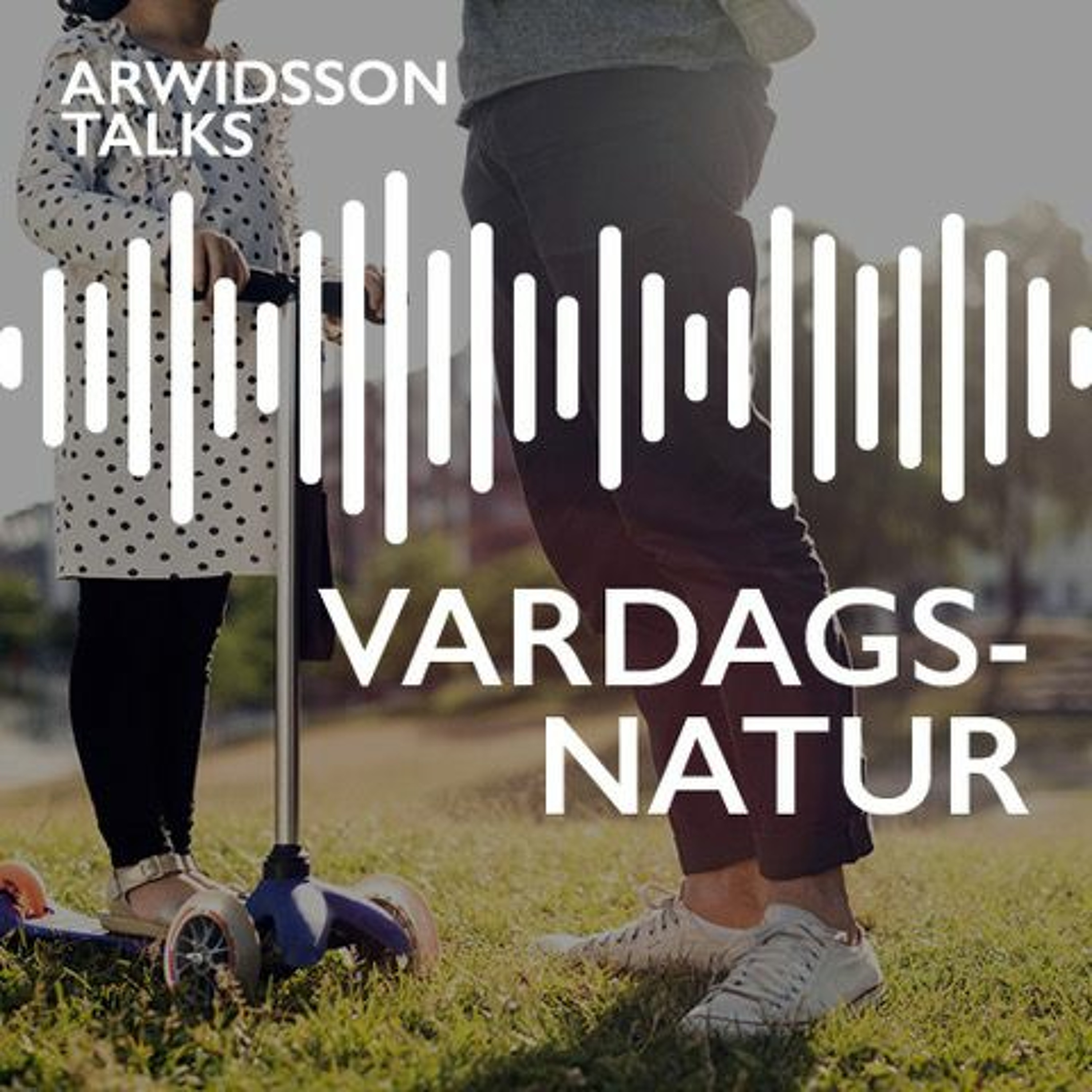 Arwidsson Talks