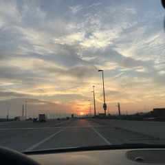 In The Morning