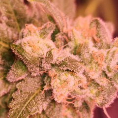 I Was Going To Stop At 60 Minutes.  Messed up at 13  minutes. All Good After