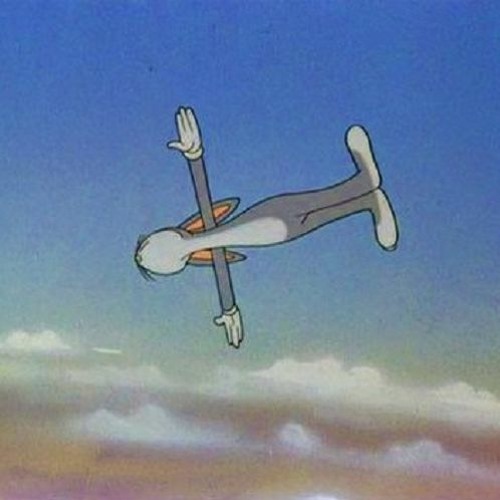 Flight