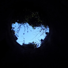 fireflys_firefly-St.aif