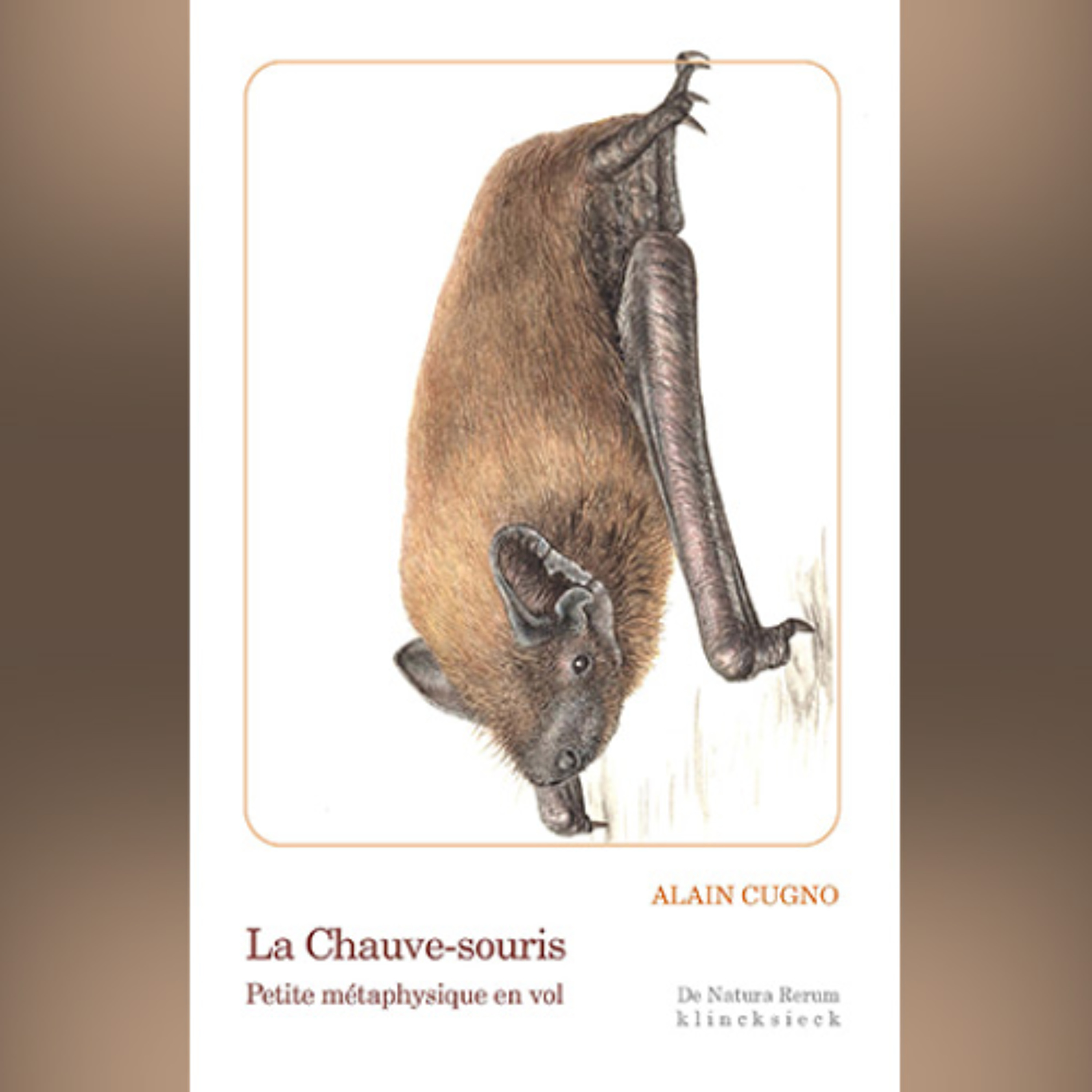 Alain Cugno - La Chauve-souris. Petite métaphysique en vol episode artwork