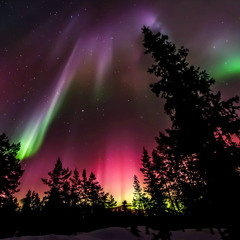 DarQnezz - Northern Lights 2.0