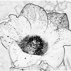 02 일주일 (ft.Shed) (title)