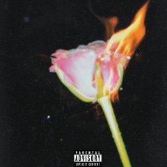 Nobody Will Love You The Way I Do