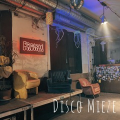 Dieso Mieze @ Import Export 02.11.2024 [Disco / Tech House]
