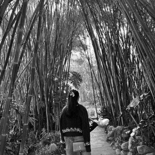 Có chàng trai viết lên cây (LOFI)