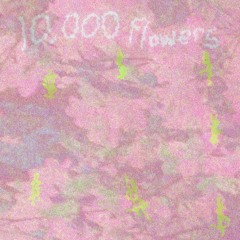 10,000 flowers