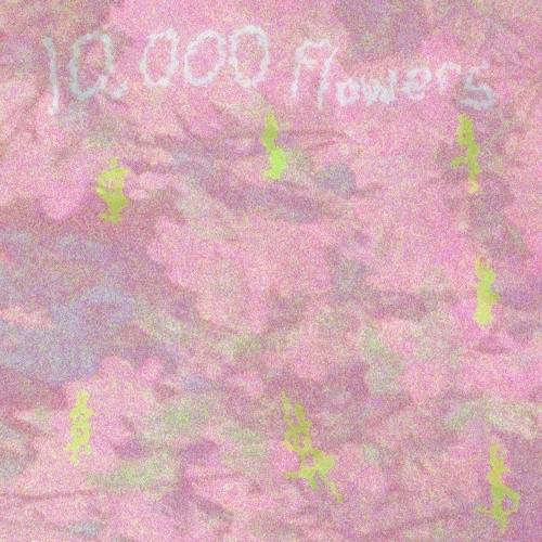 10,000 flowers