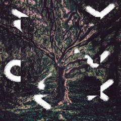Descisions