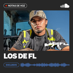 Notas De Voz: Los De FL en "No Es Cierto"