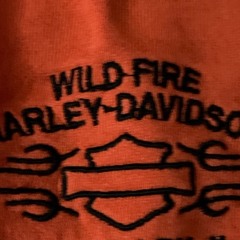 Lighter p. (everydaysinner)