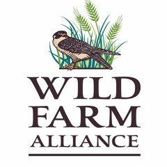 TRAIN OF THOUGHT - WILD FARM ALLIANCE