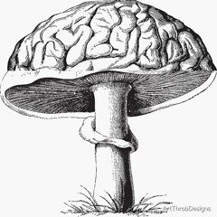 K9//GUENOUILLE - 3be.a.ncienne