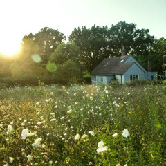 Home