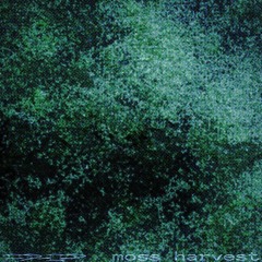 Moss Harvest for NO PERSONA