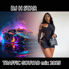 TRAFFIC GOUYAD MIX 2025